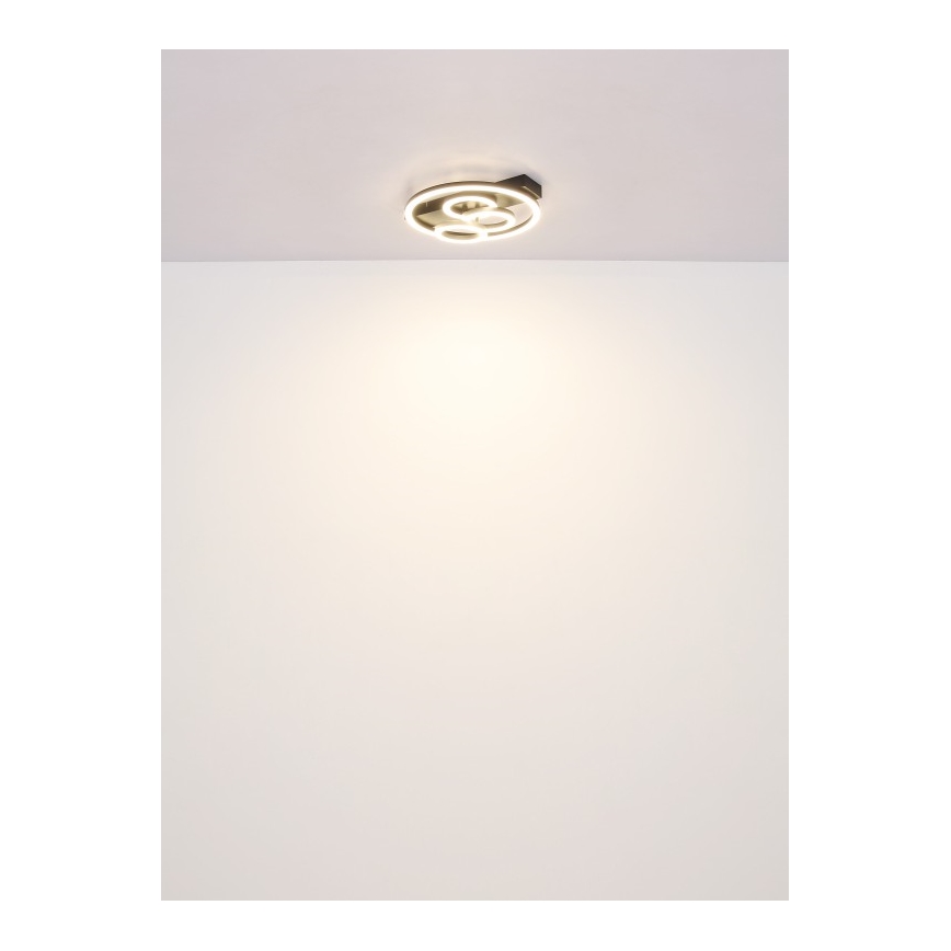 Globo - LED Димируем плафон LED/40W/230V 2700-6500K Ø 35x33 см + дистанционно управление