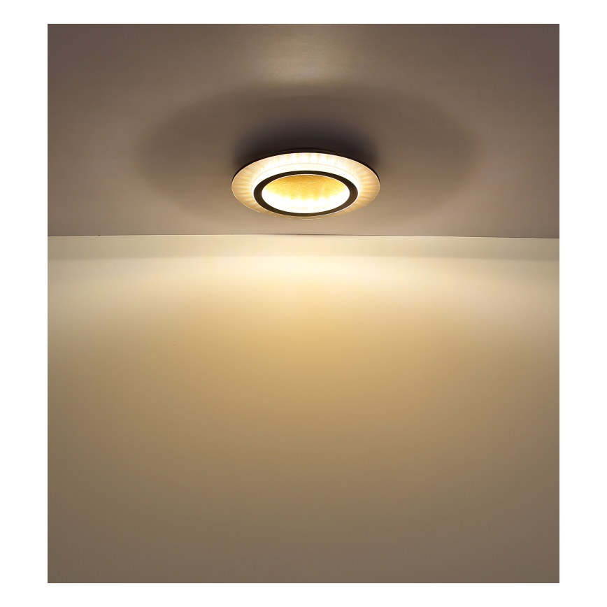 Globo - LED плафон LED/24W/230V 3000/4000/6500K Ø 35 см черен