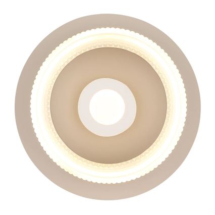 Globo - LED таванно осветително тяло LED/8W/230V 3000K Ø 16 cm