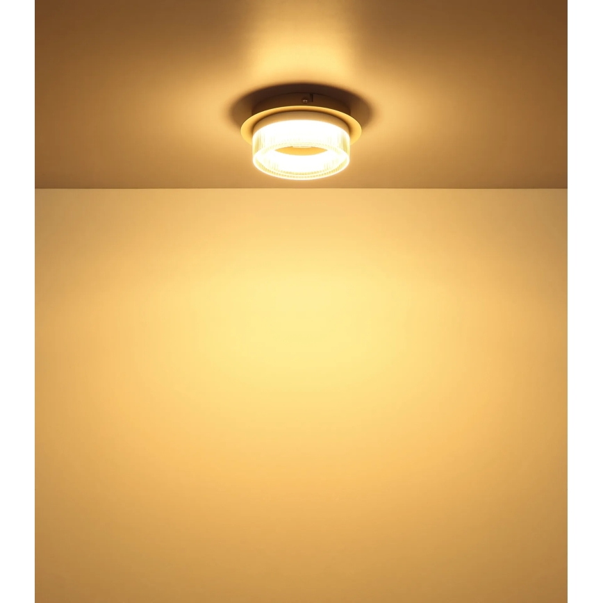 Globo - LED таванно осветително тяло LED/8W/230V 3000K Ø 16 cm