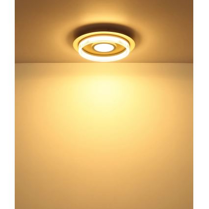 Globo - LED таванен плафон LED/24W/230V 3000K Ø 40 см