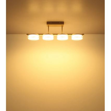 Globo - LED плафонен полилей LED/24W/230V 3000K