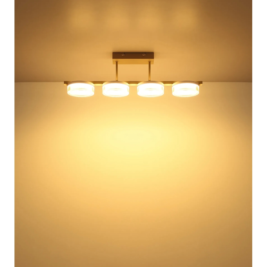 Globo - LED плафонен полилей LED/24W/230V 3000K
