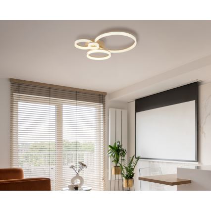 Globo - LED таванно осветително тяло LED/40W/230V 3000K 64,5x75 cm