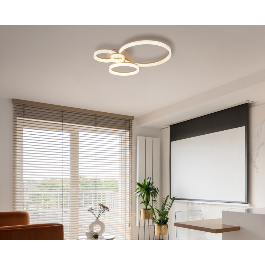 Globo - LED таванно осветително тяло LED/40W/230V 3000K 64,5x75 cm