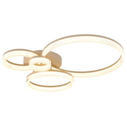 Globo - LED таванно осветително тяло LED/40W/230V 3000K 64,5x75 cm