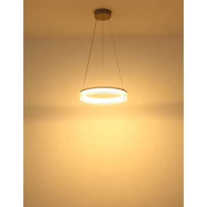 Globo - LED полилей на кабел LED/16W/230V 3000K