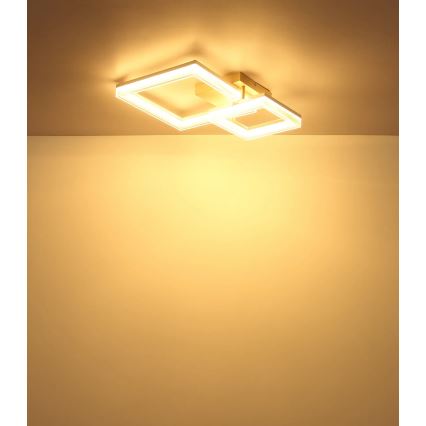 Globo - LED таванно осветително тяло LED/24W/230V 3000K 46,5x62,5 cm