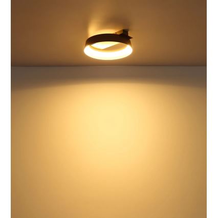 Globo - LED таванно осветително тяло LED/12W/230V 3000K 26x25 см