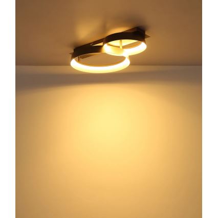 Globo - LED таванен плафон, 24W/230V, 3000K, 50x35 см