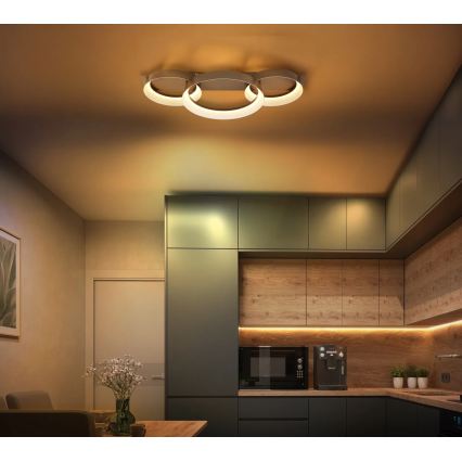 Globo - LED таванно осветително тяло LED/40W/230V 3000K 70x35 cm