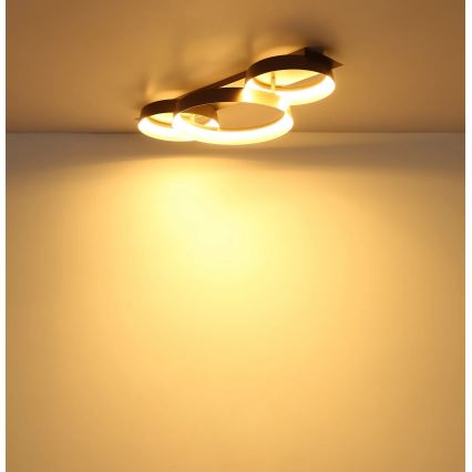 Globo - LED таванно осветително тяло LED/40W/230V 3000K 70x35 cm