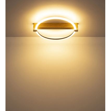 Globo - LED таванно осветително тяло LED/15W/230V 3000K 41,4x38 cm бежово