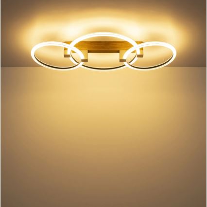 Globo - LED таванно осветително тяло LED/40W/230V 3000K 76,1x38 cm кафяво