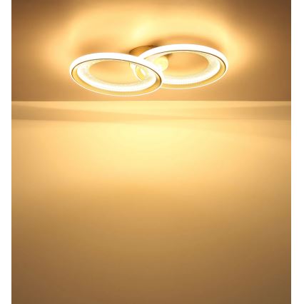 Globo - LED таванно осветително тяло LED/30W/230V 3000K 31,5x52,5 cm