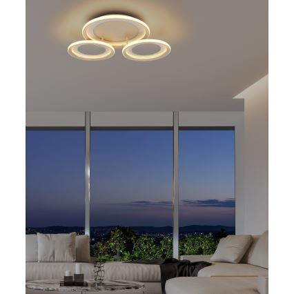Globo - LED таванно осветително тяло LED/40W/230V 3000K 60,5x62,5 cm
