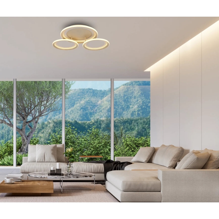 Globo - LED таванно осветително тяло LED/40W/230V 3000K 60,5x62,5 cm