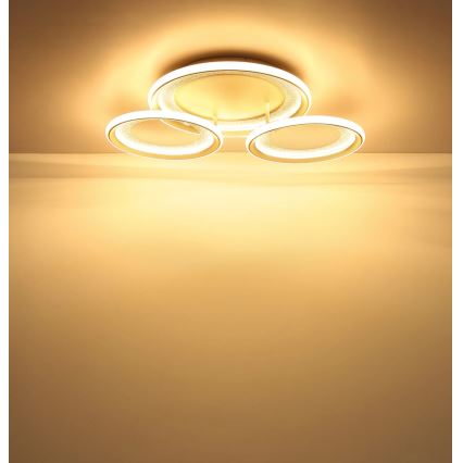 Globo - LED таванно осветително тяло LED/40W/230V 3000K 60,5x62,5 cm