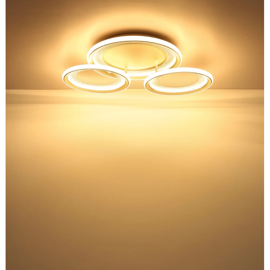Globo - LED таванно осветително тяло LED/40W/230V 3000K 60,5x62,5 cm