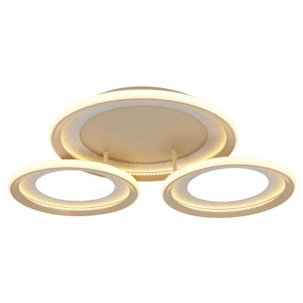 Globo - LED таванно осветително тяло LED/40W/230V 3000K 60,5x62,5 cm