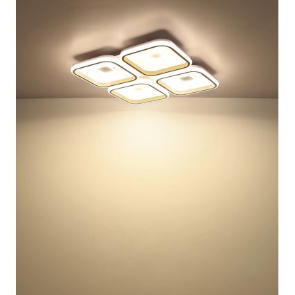 Globo - Димируемо LED таванно осветително тяло LED/55W/230V 2700-6000K 54x54 cm + дистанционно управление