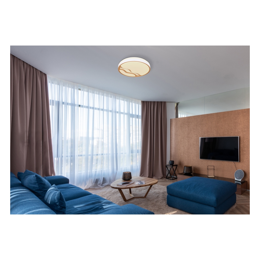 Globo - LED Димируем плафон LED/30W/230V 2700K/4000K/6500K + дистанционно