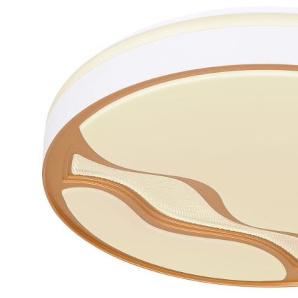 Globo - LED Димируем плафон LED/30W/230V 2700K/4000K/6500K + дистанционно