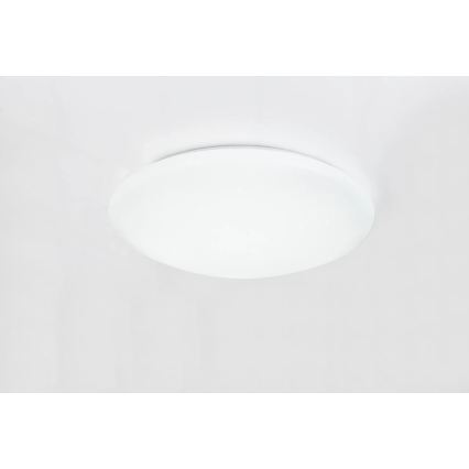 Globo - RGB LED таванно осветително тяло с възможност за димиране LED/48W/230V + LED/10W 2700-6500K диаметър 50 cm + дистанционно управление