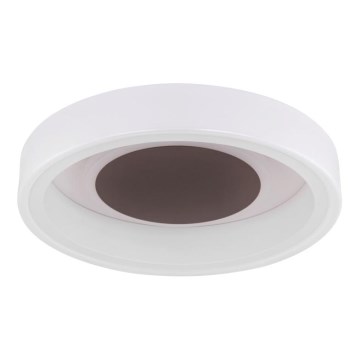Globo 48398-24 - LED Плафониера GOFFI LED/30W/230V