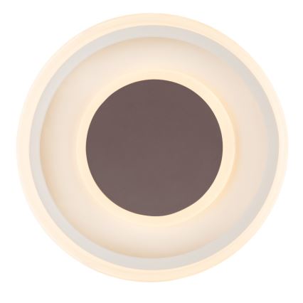 Globo 48398-24 - LED Плафониера GOFFI LED/30W/230V