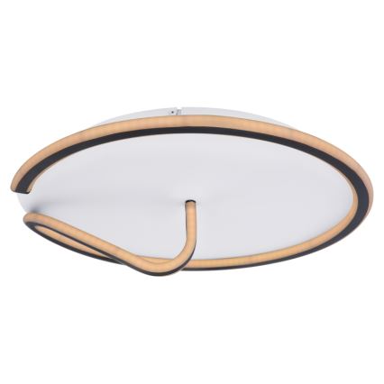 Globo - LED Димируем плафон RODAN LED/50W/230V 3000-6000K + дистанционно управление