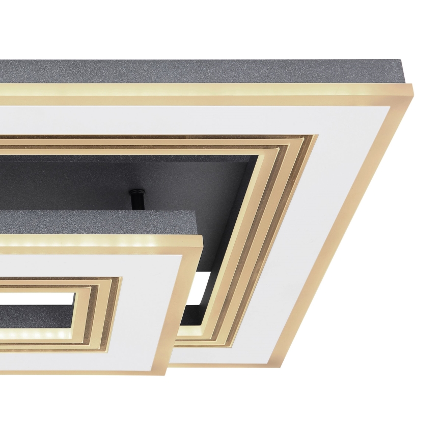 Globo - LED Димируем плафон LED/50W/230V 2700-6000K + дистанционно управление