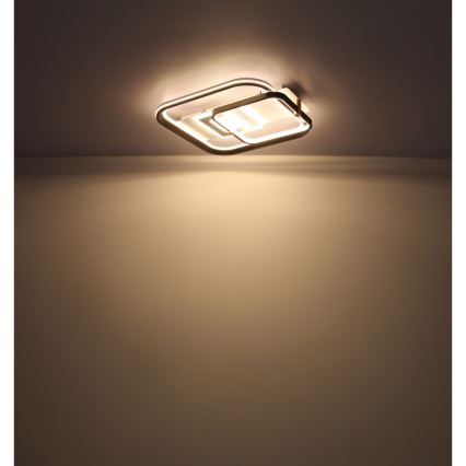 Globo 48459-48 - Димируемо LED таванно осветително тяло ANI LED/48W/230V 2700-6000K 48x52 cm + дистанционно управление