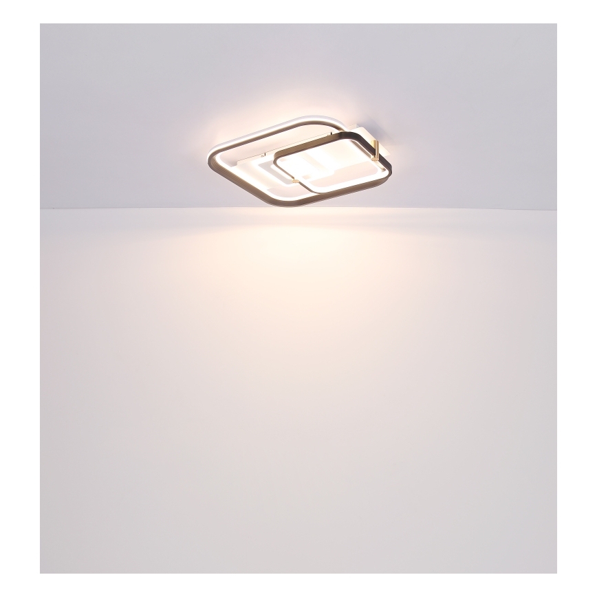 Globo 48459-48 - Димируемо LED таванно осветително тяло ANI LED/48W/230V 2700-6000K 48x52 cm + дистанционно управление
