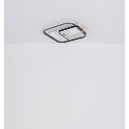 Globo 48459-48 - Димируемо LED таванно осветително тяло ANI LED/48W/230V 2700-6000K 48x52 cm + дистанционно управление