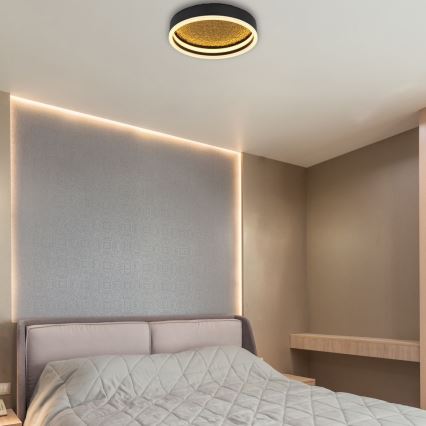 Globo - LED Плафон LED/24W/230V Ø 30 см черен