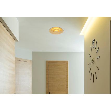 Globo - LED таванен плафон, 18 W, 230 V, 3000 K, Ø 18 см, златист