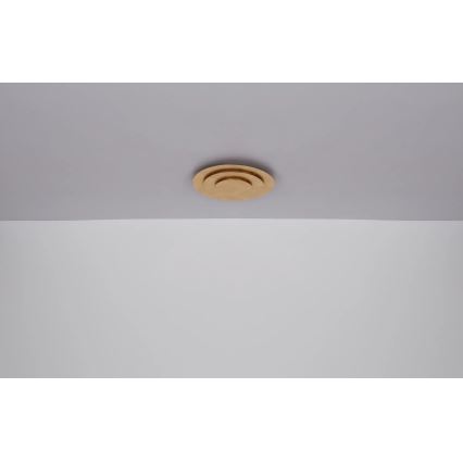 Globo - LED таванен плафон, 18 W, 230 V, 3000 K, Ø 18 см, златист
