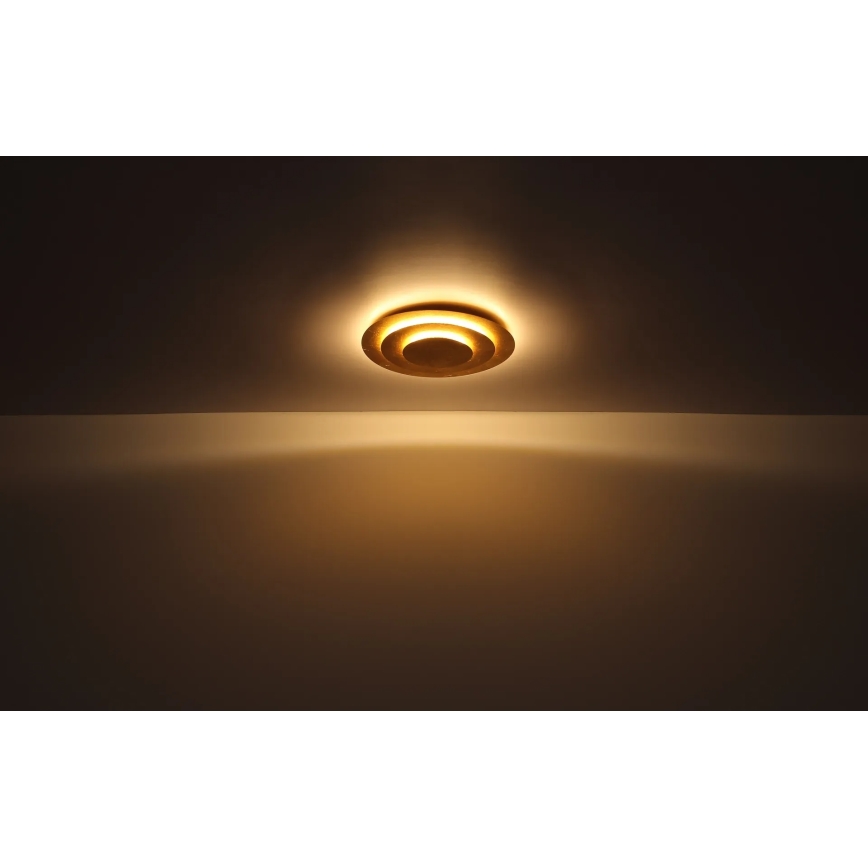 Globo - LED таванно осветително тяло LED/40W/230V 3000K Ø49 cm, златисто