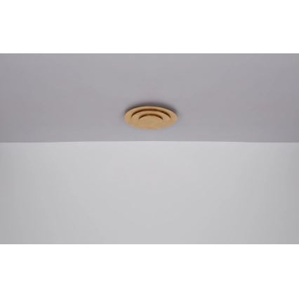 Globo - LED таванно осветително тяло LED/40W/230V 3000K Ø49 cm, златисто