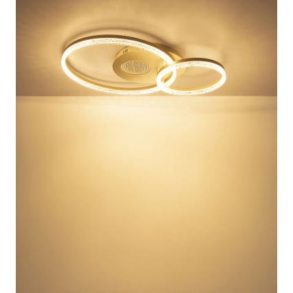 Globo - LED плафон LED/30W/230V 3000K 70x50 cm бежов
