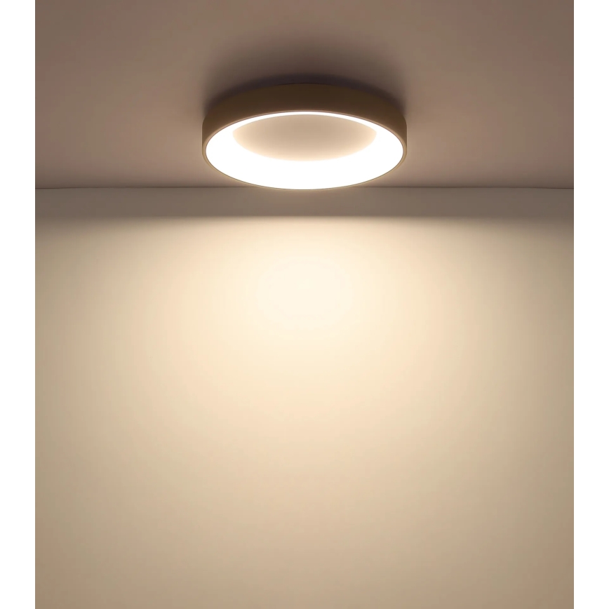 Globo - Димируем таванен LED плафон LED/48W/230V 2700-6000K диам. 50 см + дистанционно управление