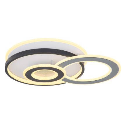 Globo 48552D4 - LED таванно осветително тяло BRIENNA LED/40W/230V 43x52 cm бяло/сиво