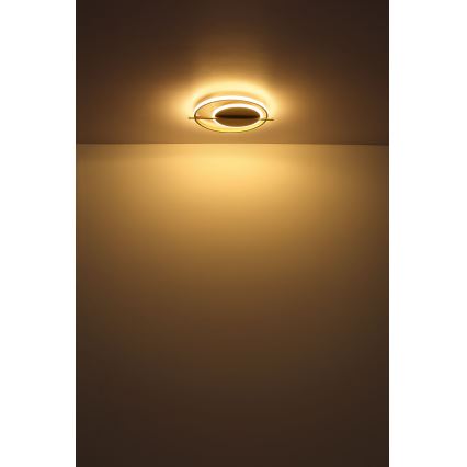 Globo - LED Плафониера LED/36W/230V