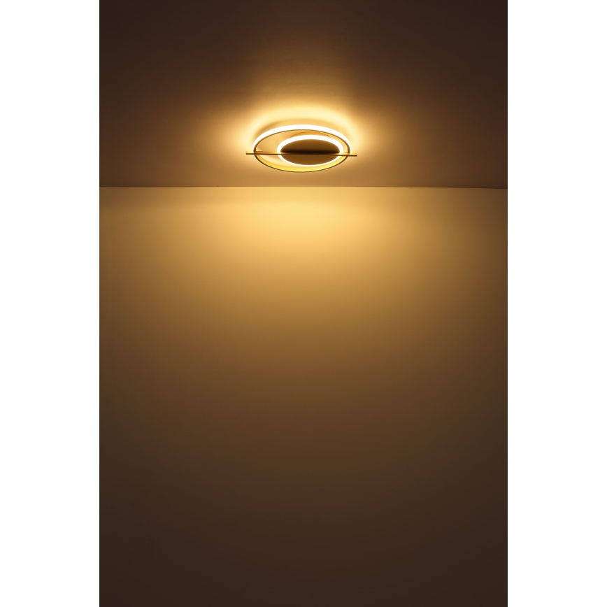 Globo - LED Плафониера LED/36W/230V