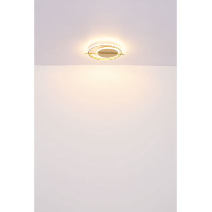 Globo - LED Плафониера LED/36W/230V