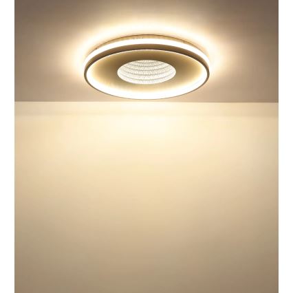Globo - LED димируемо таванно осветително тяло LED/40W/230V 2700-6500K Ø 50,5 см + дистанционно управление
