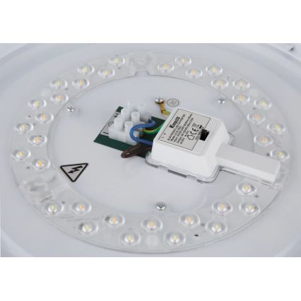 Globo - LED таванно осветително тяло LED/24W/230V 3000/4000/6000K Ø 38 см бял/матов хром