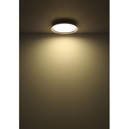 Globo - LED Димируем плафон LED/48W/230V Ø 50 cm 2700-6000K + дистанционно управление