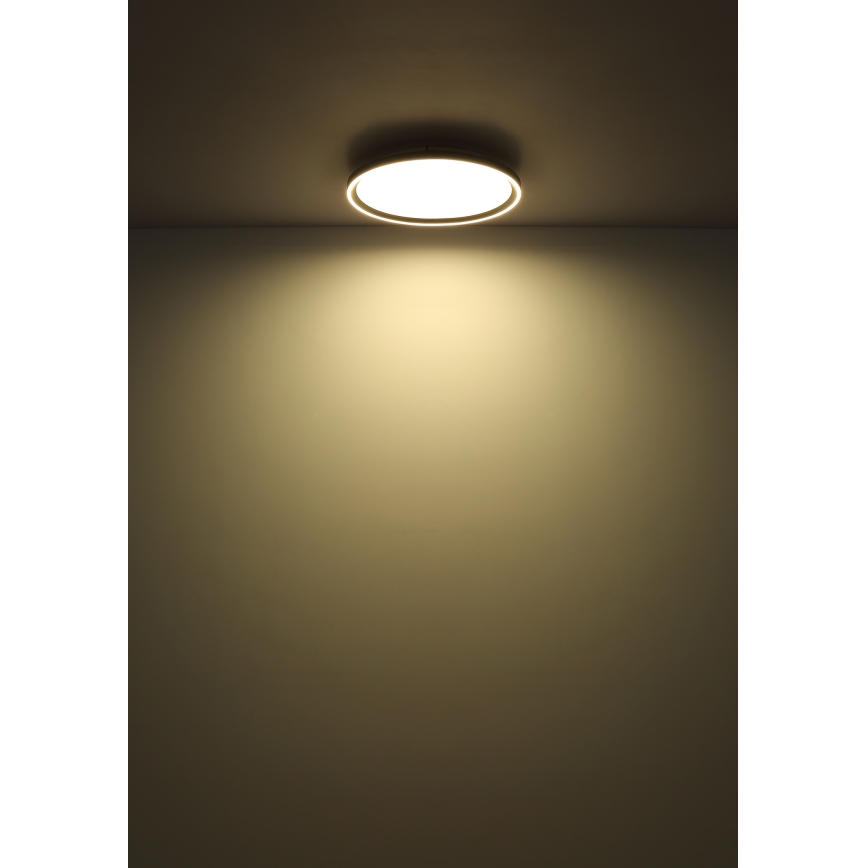 Globo - LED Димируем плафон LED/48W/230V Ø 50 cm 2700-6000K + дистанционно управление
